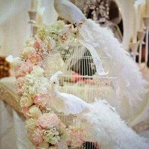 Meet your Posher, Janet